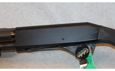 Stoeger ~ P3500 ~ 12 Gauge - Image 9 of 10