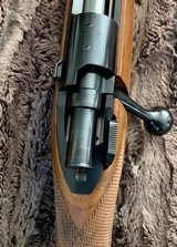 Kimber of Oregon 84 Super America .223 NIB from Earl Kelly Collection for sale - 13 of 15