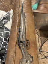 Kimber K17 Pro Varmint in RARE .17 mach 2 - 3 of 10