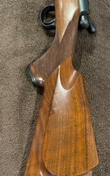 LNIB Cooper 57M Jackson Squirrel Rifle with Factory 20