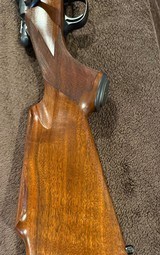 LNIB Cooper 57M Jackson Squirrel Rifle with Factory 20