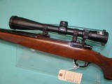 Ruger M77 25-06 - 11 of 19