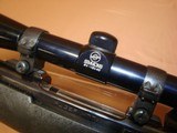 Ruger M77 25-06 - 11 of 12