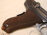 DWM American Eagle Luger - 8 of 15