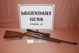 Winchester 100