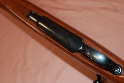 Ruger M77 - Image 14 of 15