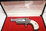 Freedom Arms Mini 22