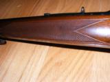 Winchester Model 70 in 358 win. Pre 64- 7 of 14
