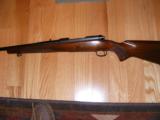 Winchester Model 70 in 358 win. Pre 64- 1 of 14
