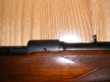Winchester Model 70 in 358 win. Pre 64- 12 of 14