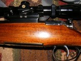Mannlicher Schoenauer , Model 1956 in 358 Winchester, Full Stock - 13 of 15