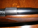 Winchester 70 Pre 64 , 375 H&H Mag , Super Grade, Very Nice - 10 of 15