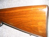Winchester Pre War
Model 70 Carbine in 257 Roberts - 7 of 12