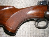 Winchester Pre War Model 70 Carbine in 257 Roberts - 5 of 15
