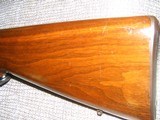 Winchester Pre War Model 70 Carbine in 257 Roberts - 7 of 15