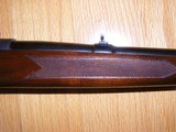 Winchester Model 70 Pre 64 , 300 Win Mag , Original - 7 of 13