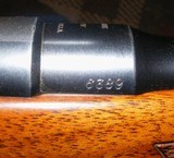 Mannlicher SchoenauerModel 1903Excellent Condition - 3 of 19