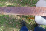 AMerican black walnut stock blank - 3 of 8