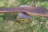 AMerican black walnut stock blank - 1 of 8