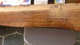 Fiddleback/ tiger stripe English walnut - 5 of 7