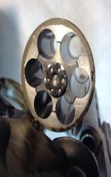 Colt Anaconda 44 Magnum, Real Tree, New In The Box - 10 of 15