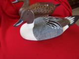 HAND CARVED HEN & DRAKE PINTAIL DECOYS - 2 of 6