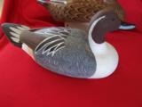 HAND CARVED HEN & DRAKE PINTAIL DECOYS - 5 of 6
