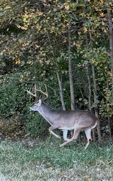 Kimber of Oregon M-84 Super America Stainless Steel
.223 Rem.
1 of only 5 made NIB - 10 of 10