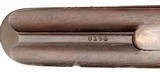 Colt Model 1883, Hammerless Double Barrel Shotgun, 12Ga. w/ 30” Barrels, SN: 8155, c.1889 - 16 of 20