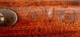 Springfield  M-1873 Carbine, .45-70 Cal, 22” Barrel, ANTIQUE - 12 of 20