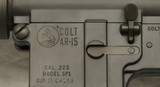 Colt, AR15 SP1, Early Rifle, Made in 1965, Second Year of Production, Excellent Condition - 12 of 20