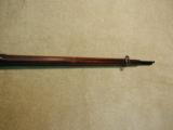 NICE ORIGINAL UNTOUCHED AND UNCLEANED 1879 TRAPDOOR .45-70 RIFLE, MADE 1884- 15 of 20