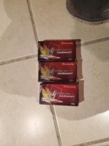 Hornady 204 - 1 of 3