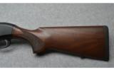 BerettaA30012 Gauge ANI Case - 6 of 6