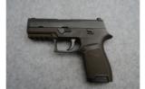 Sig SauerP3209 MM - 2 of 3