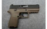 Sig SauerP3209X19 - 1 of 3