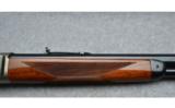 Browning1886.45-70 - 7 of 9