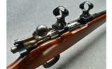 Carl Gustav ~ Rifle - 8 of 8