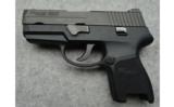 Sig SauerP250 2Sum9 MM - 2 of 3