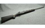 Cooper ~ 21 ~ .204 Ruger - 1 of 9