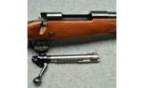 Winchester ~ 70 Super Grade~ .22-250 Rem ~ 1 of 4 in a Set - 5 of 9
