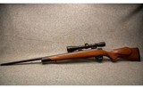 Weatherby ~ Vanguard Sporter ~ .243 Winchester - 3 of 4