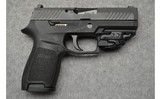 Sig Sauer ~ P320 ~ 9mm