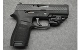 Sig Sauer ~ P320 ~ 9mm