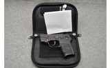 Smith & Wesson ~ Bodyguard ~ .380 acp - 2 of 2