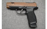 Sig Sauer ~ P365 - 2 of 3