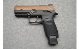 Sig Sauer ~ P320 M18 - 2 of 3