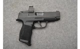 Sig Sauer ~ P365X ~ 9mm Luger - 1 of 2