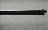 Browning ~ BL-22 ~ .22 S, L, LR - 3 of 10