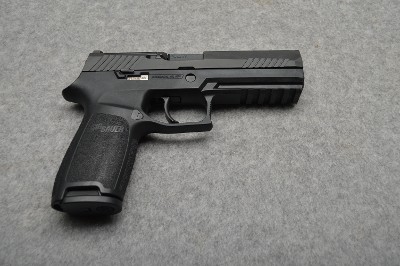Sig Sauer ~ P320 ~ 9mm